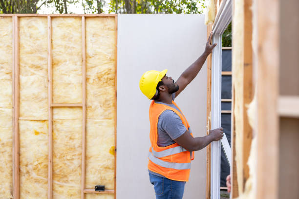 Best Spray Foam Insulation  in The Plains, OH
