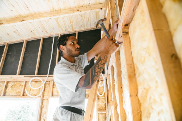 Best Insulation Replacement Services  in The Plains, OH